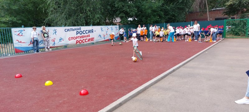 img (2)